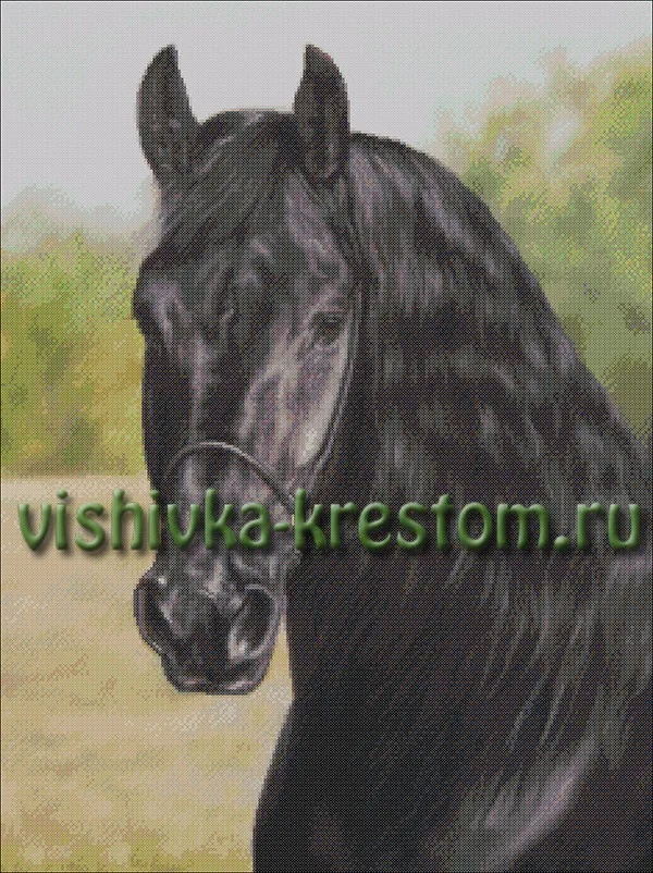 Черныш 