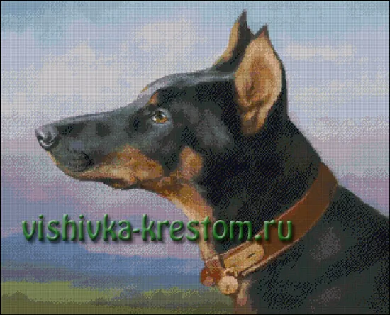 Доберман
