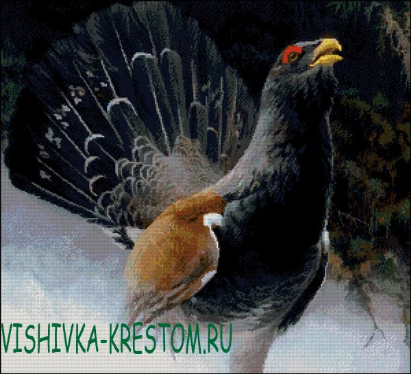 Глухарь 