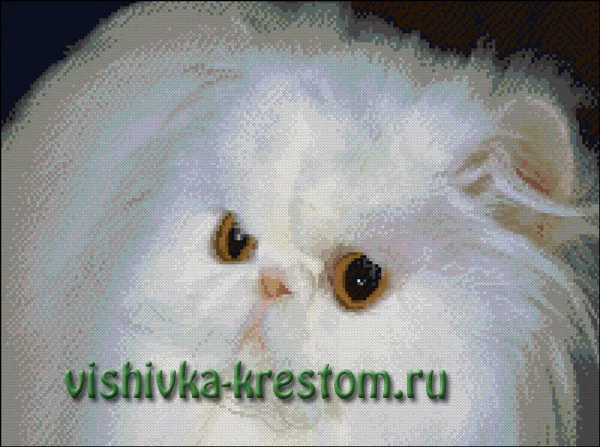 Белая кошка 