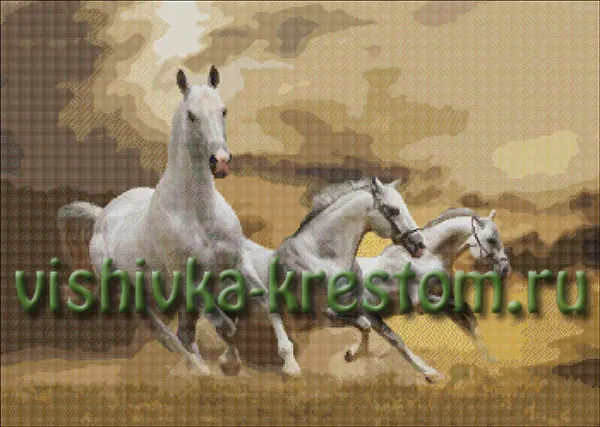 Кони белые