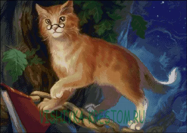 Кот учёный