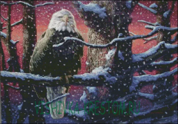Орел 