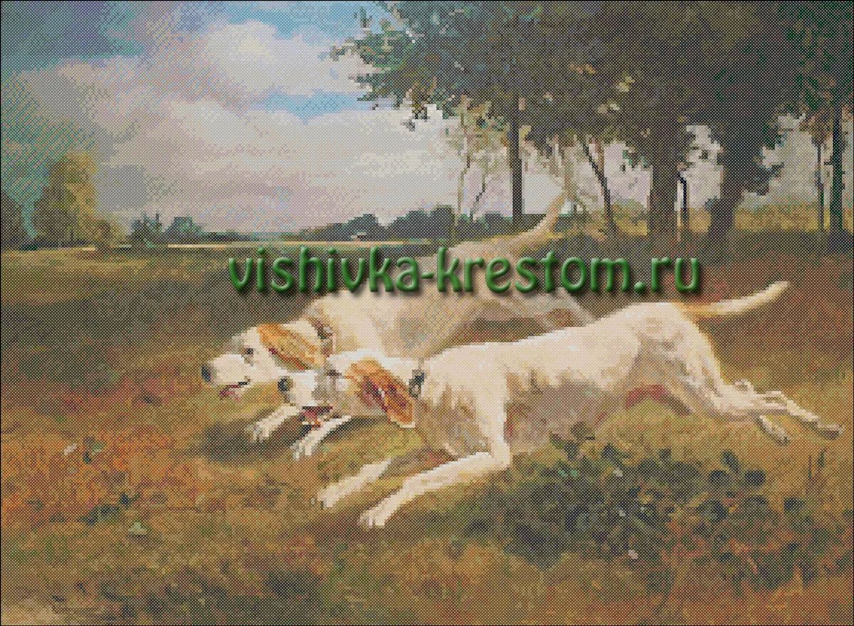 Бегущие собаки