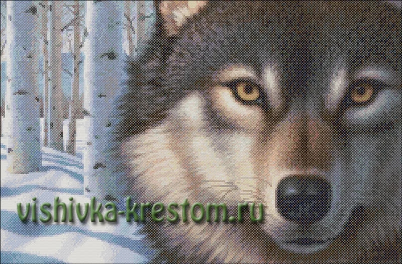 Взгляд