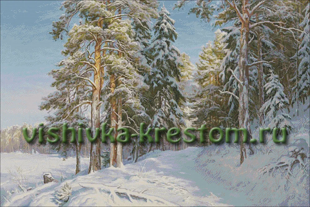Зимний лес