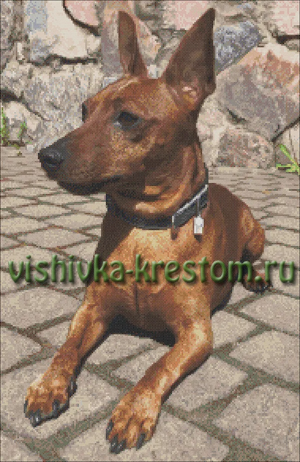 Цвергпинчер
